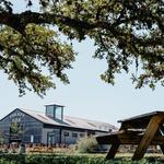 Treaty Oak Distilling