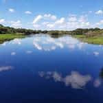 Myakka River State Park