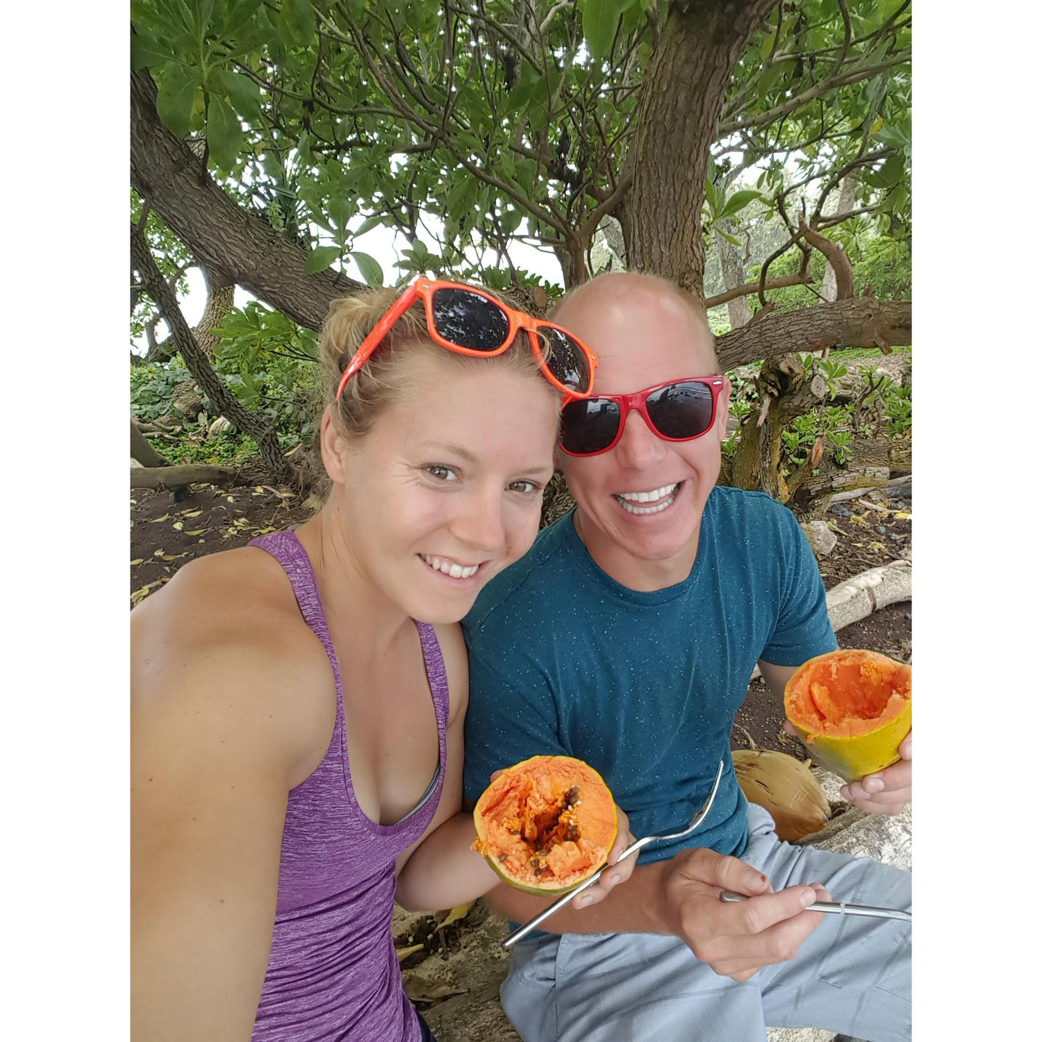 maui papaya madness