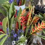 Huatulco Organic Market