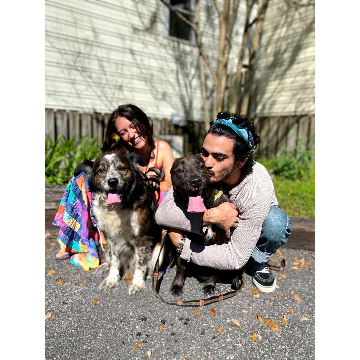We love meeting cute doggos!