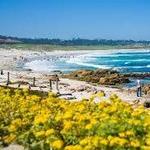 Beach Trail
