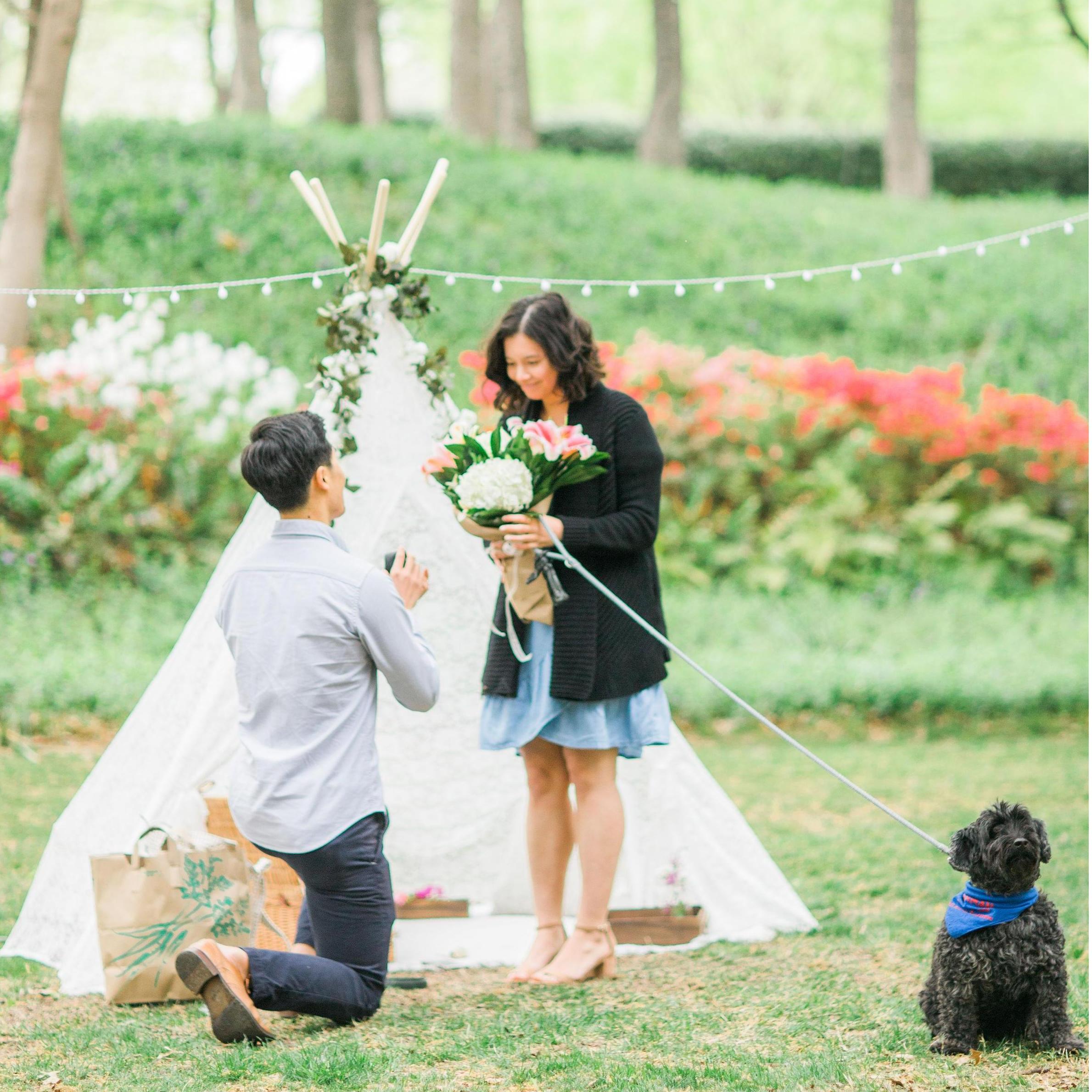 Proposal | Prather Park in Dallas, TX