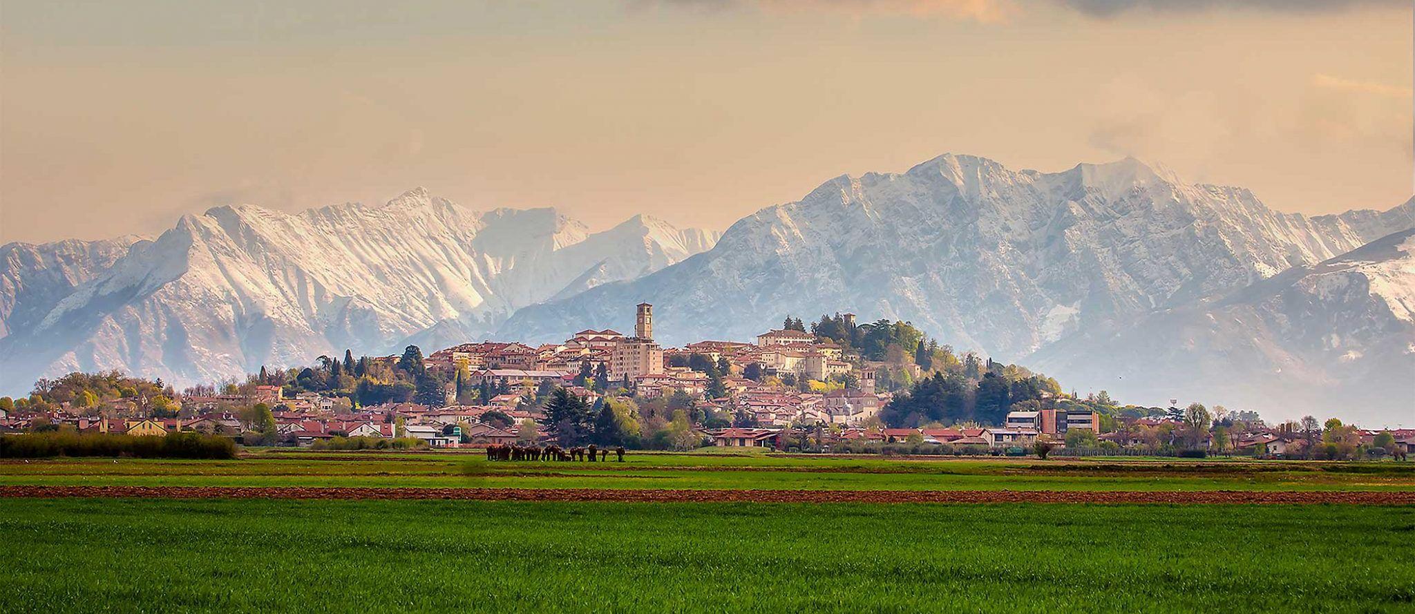 The Wedding Website of Sumire Antonioli and Jamie Littleboy