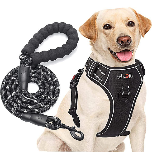 tobeDRI No Pull Dog Harness Adjustable Reflective Oxford Easy Control Medium Large Dog Harness with A Free Heavy Duty 5ft Dog Leash (L (Neck: 18"-25.5", Chest: 24.5"-33"), Black Harness+Leash)