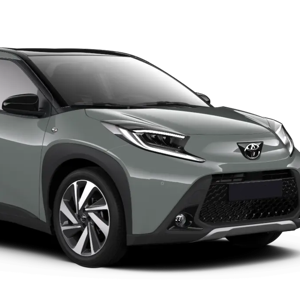 Electric Car Rental in Iceland