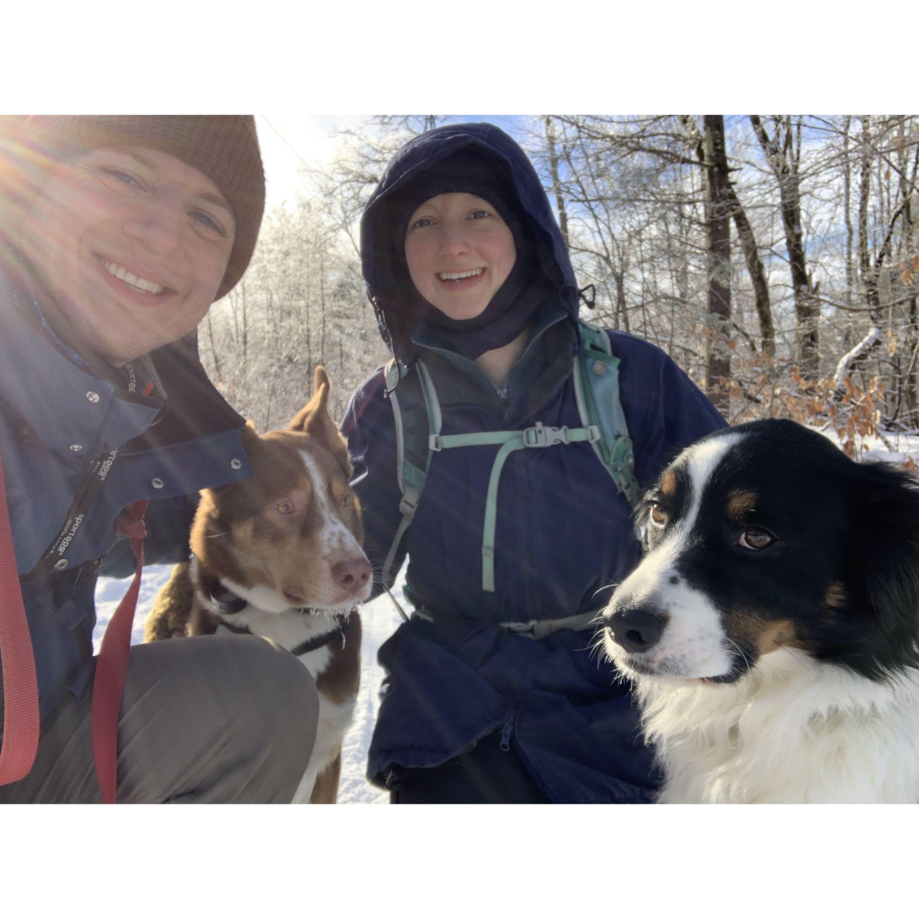 Hiking with the pups in the Adirondacks