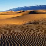 Dunas de Samalayuca