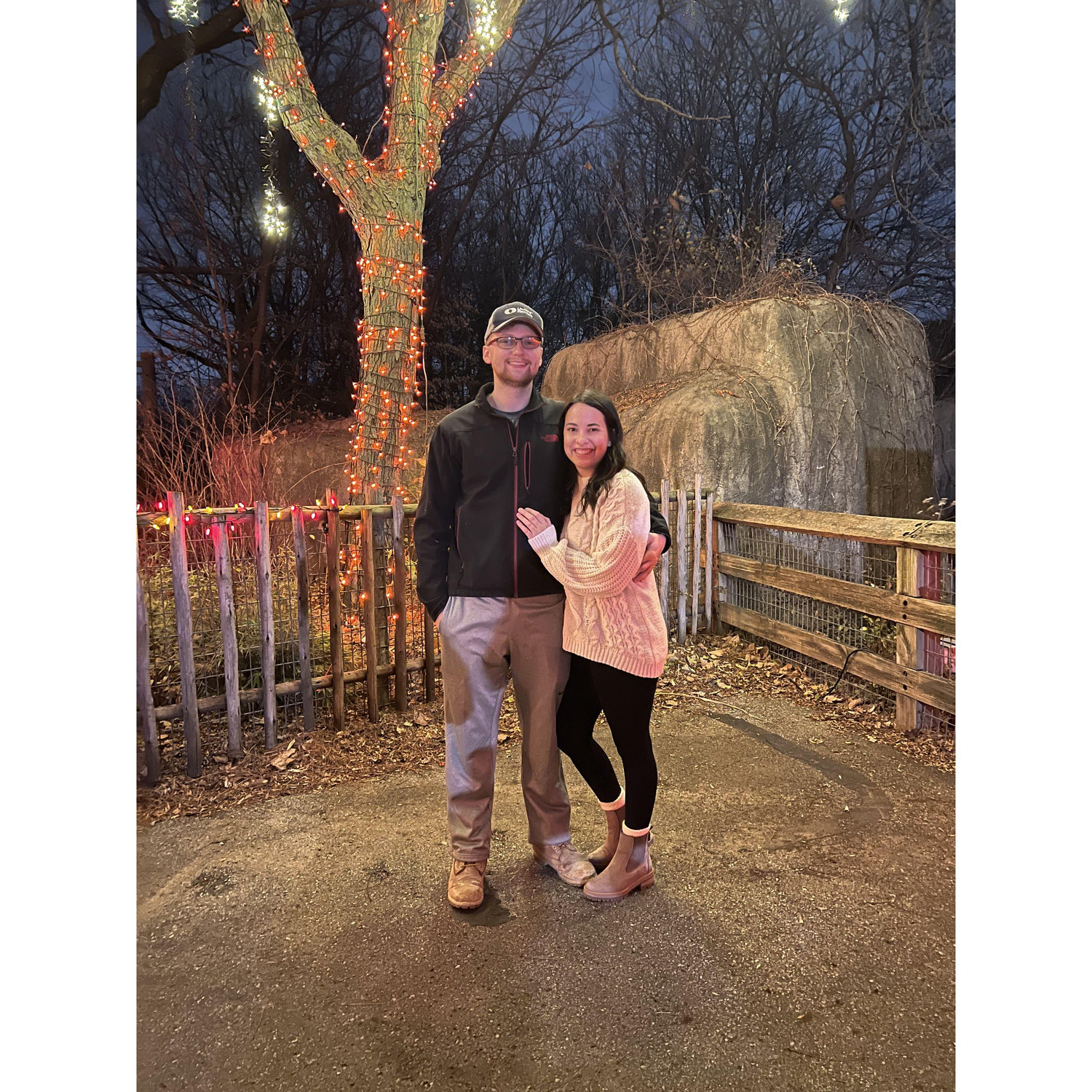 Christmas at the Zoo 2023