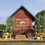 Bob's Corn & Pumpkin Farm