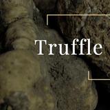 Truffle Museum in San Giovanni d'Asso