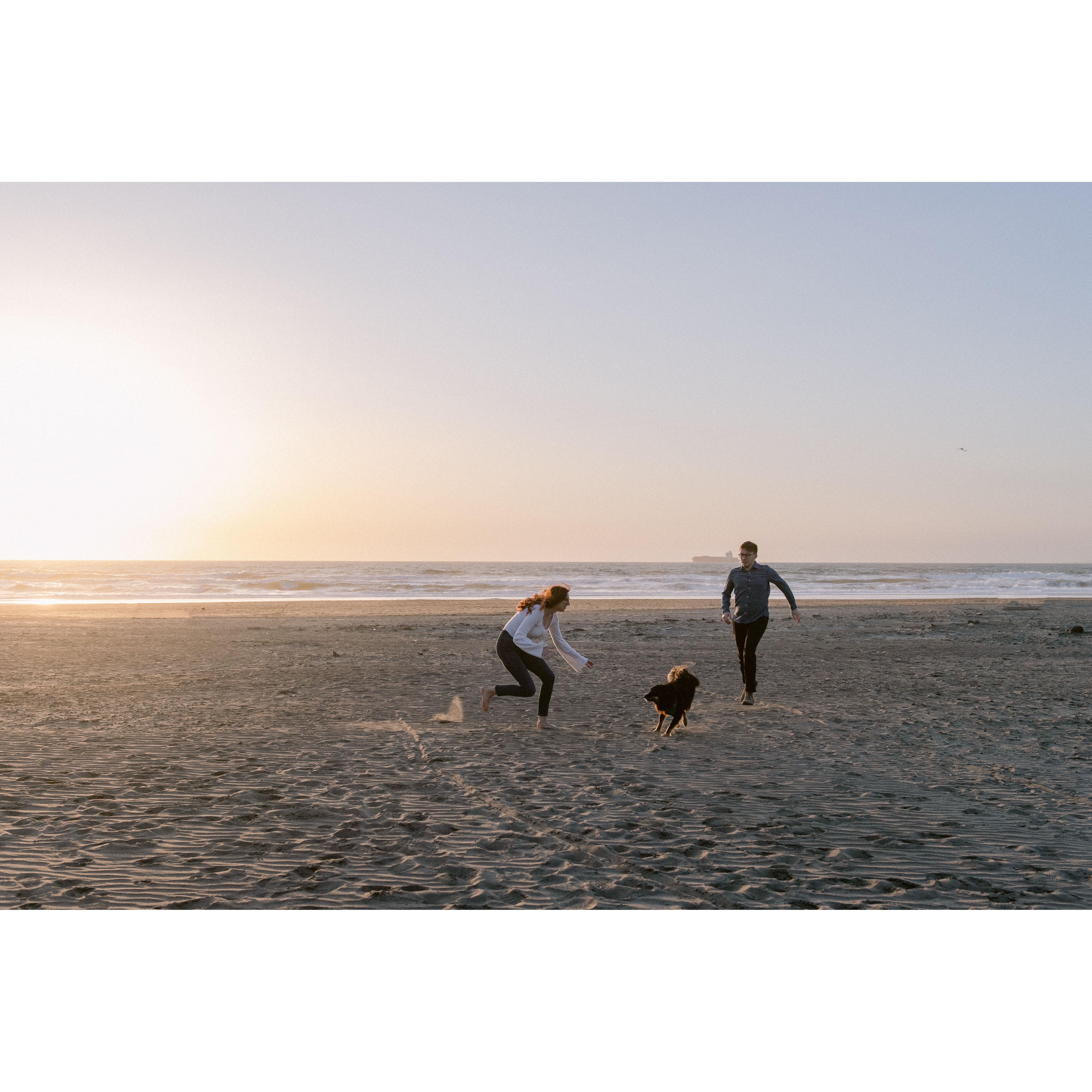 Family Beach Play