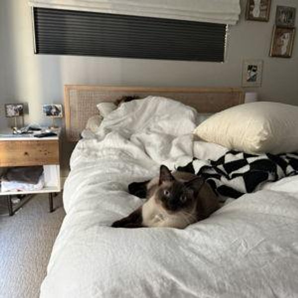 Bed + Couch Fund