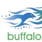 The Buffalo Zoo