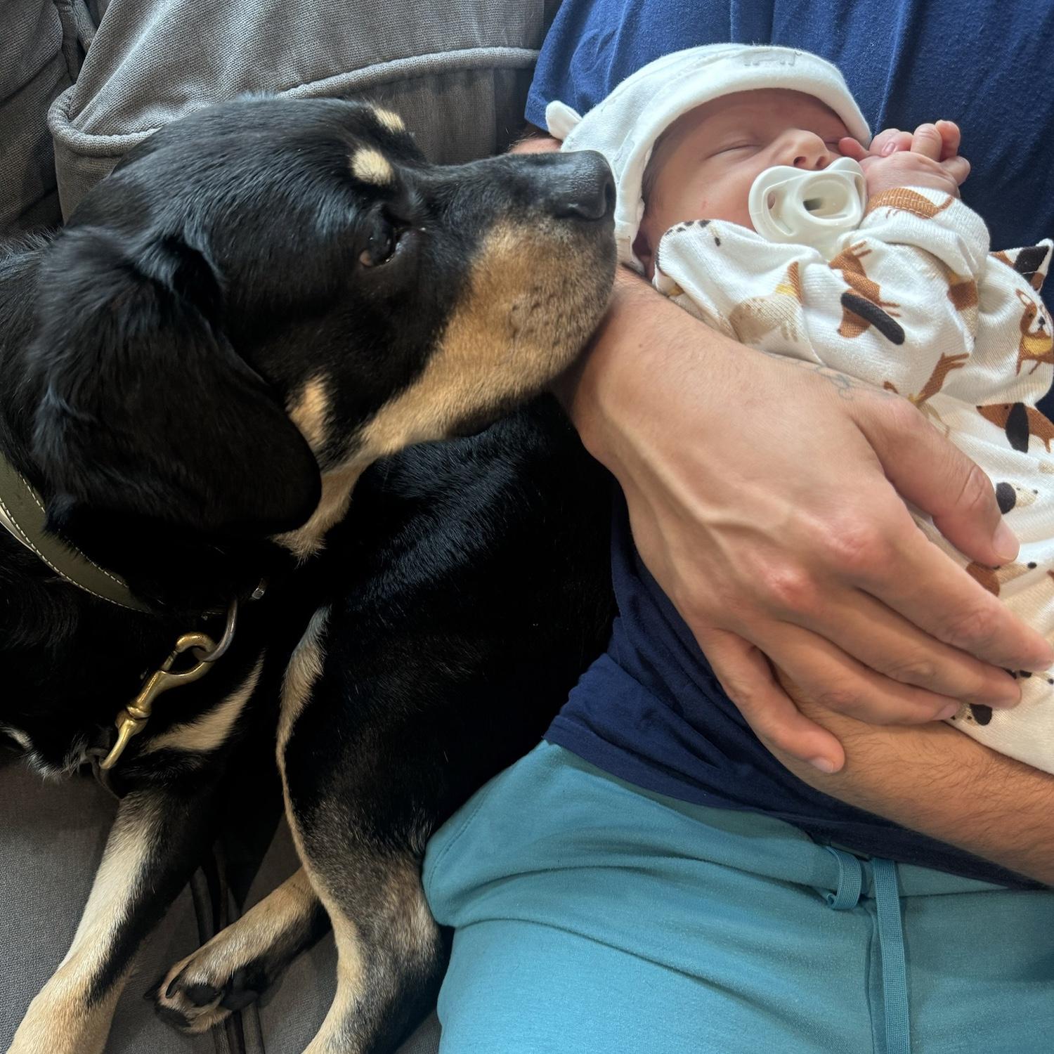 Our boys meeting for the first time!
07/23/2024