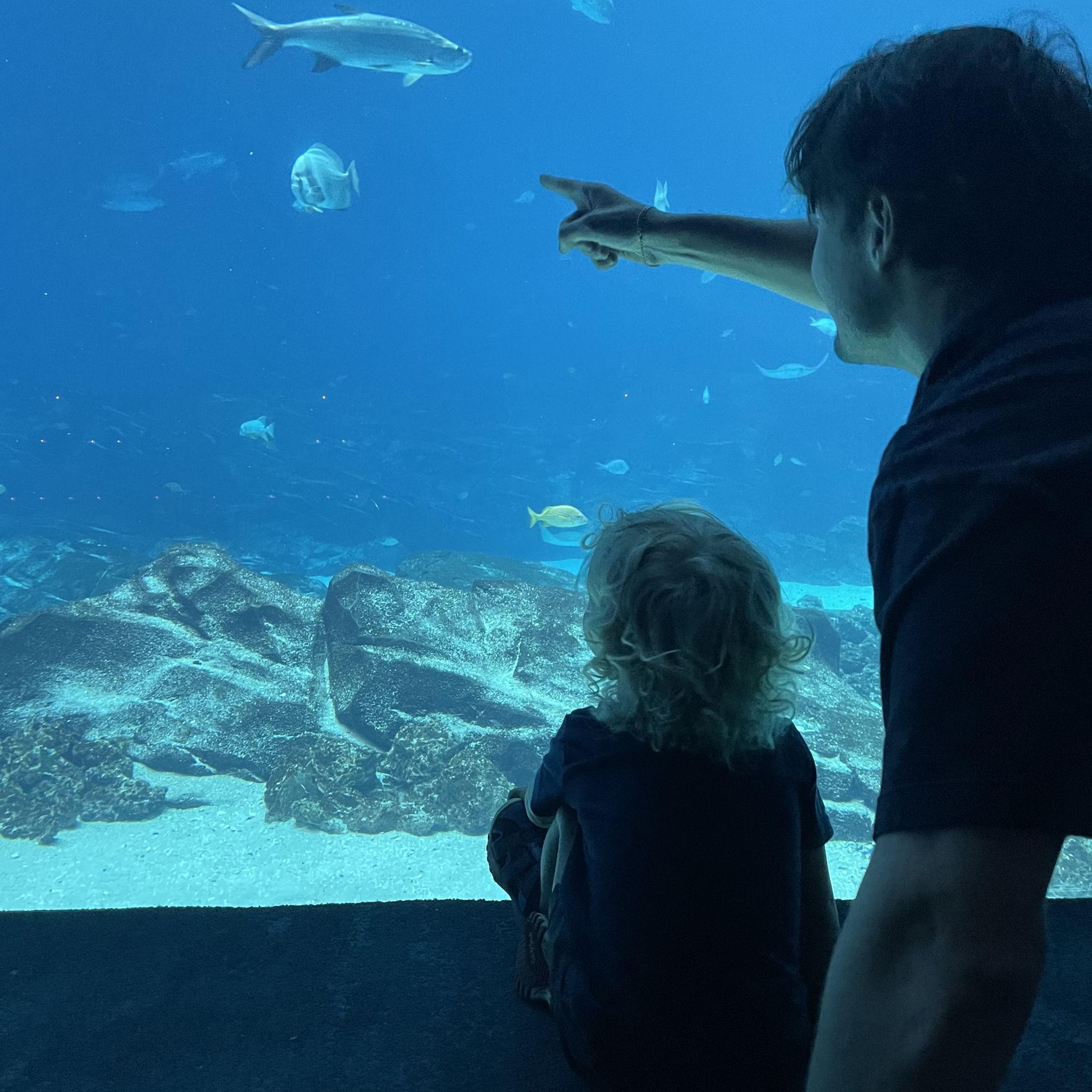 Back in the good ole days when I was watching the Palmer munchkins, Dalton would come on our adventures with us, it was in these little moments I would fall more and more for him