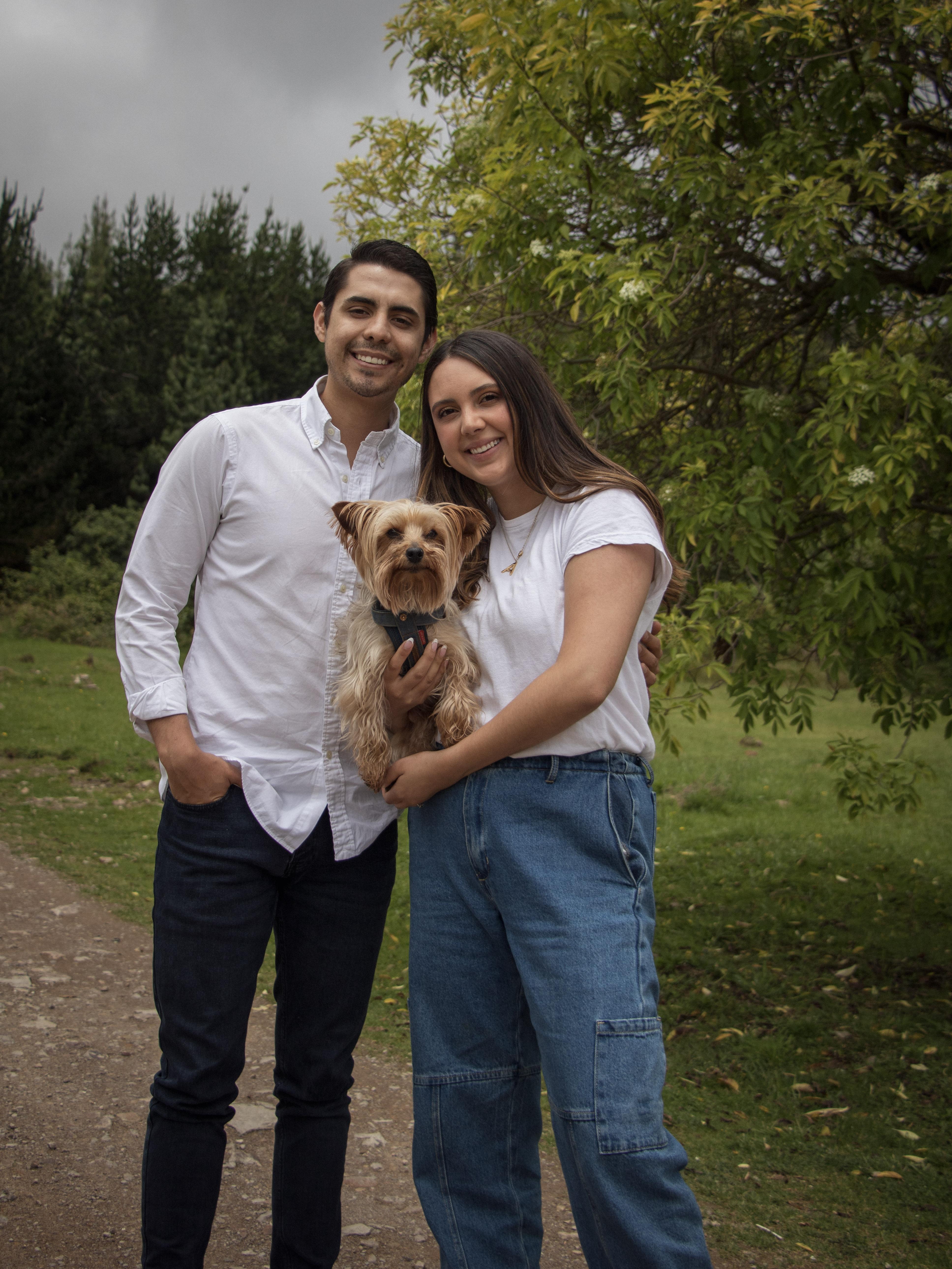 7ccac7f6-2993-4fd0-86f2-0d2b8e3de704