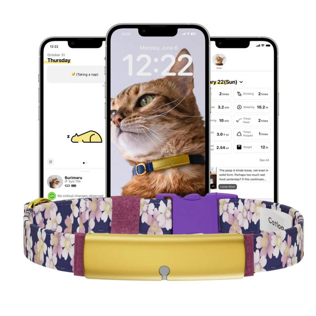 Smart Collar