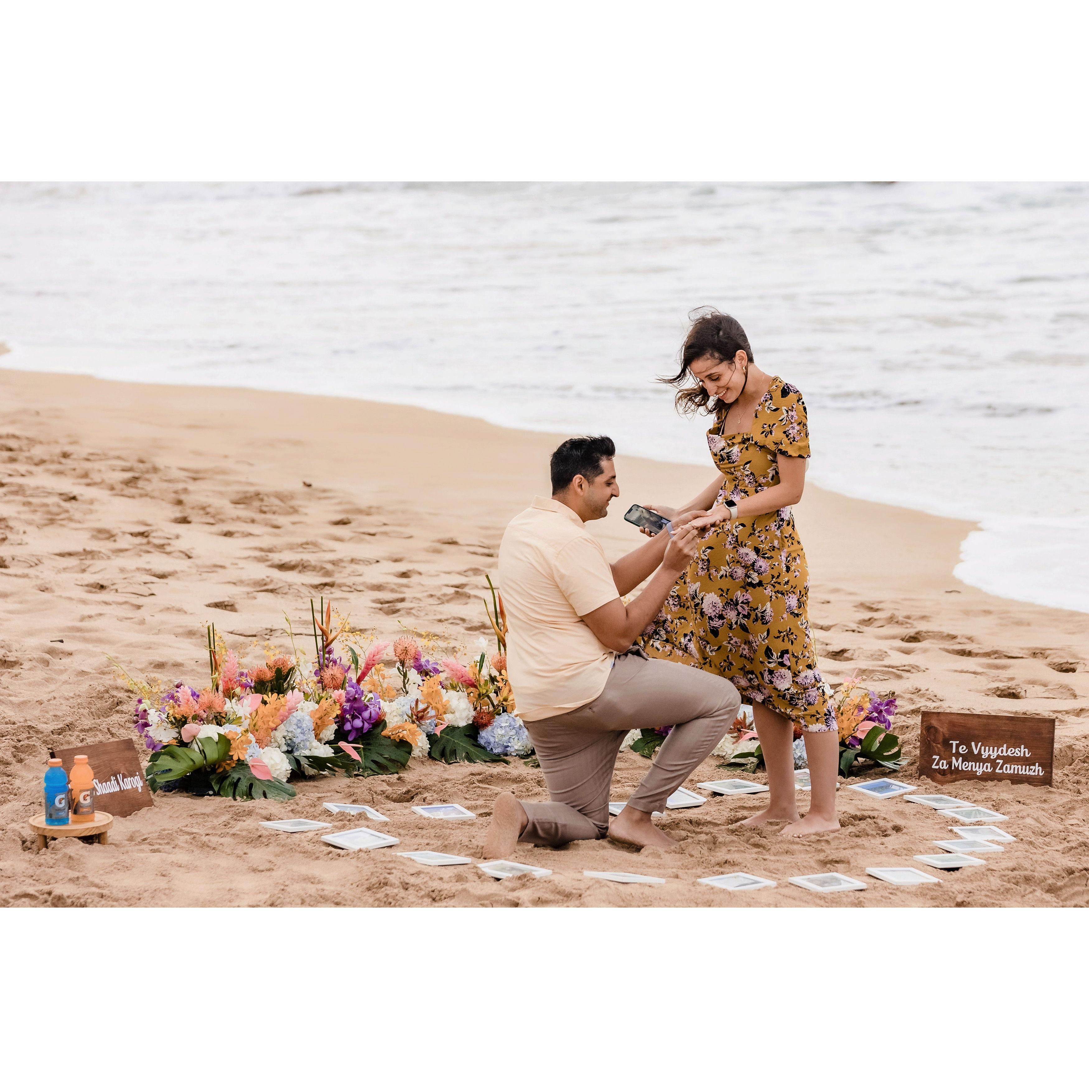 Our sweet fur baby Ollie was of course on FaceTime during the proposal!