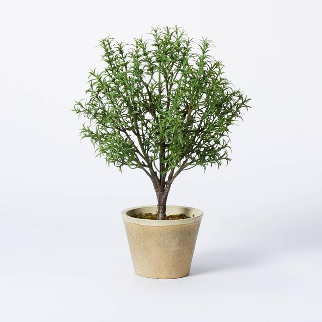 Rosemary Topiary - Threshold™ designed with Studio McGee