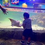 Austin Aquarium