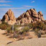 Joshua Tree National Park