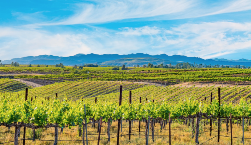 The Wedding Website of Katie Roux and Andrew Whitt