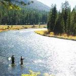 Fish the Gallatin River