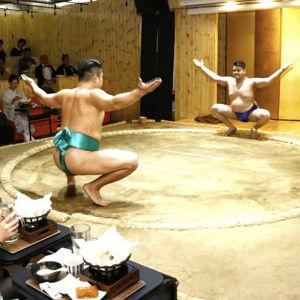 Sumo Show Experience