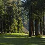 Northwood Golf Club