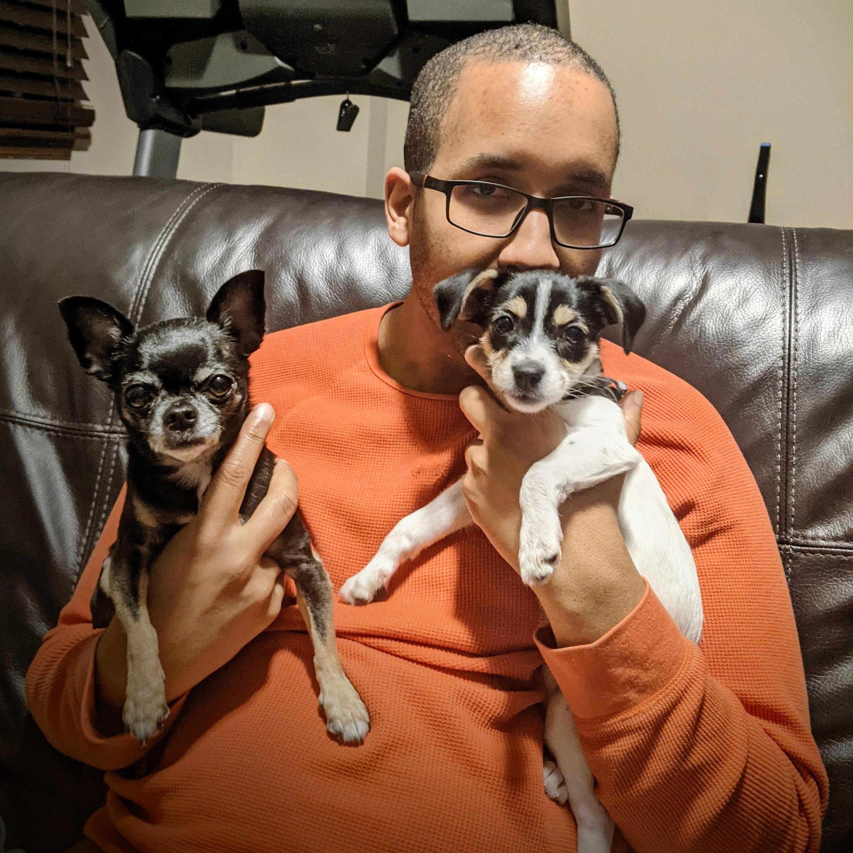 Our newest addition - we got Luna just after moving into our new house. Carbon is learning to be a big brother.
