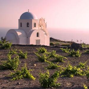 Greek Winery