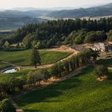 Wineries and Vineyards