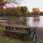 Busse Woods