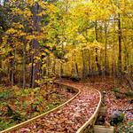 The Ice Age Trail