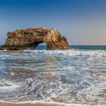 Natural Bridges State Beach