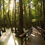 Natchez Trace Parkway