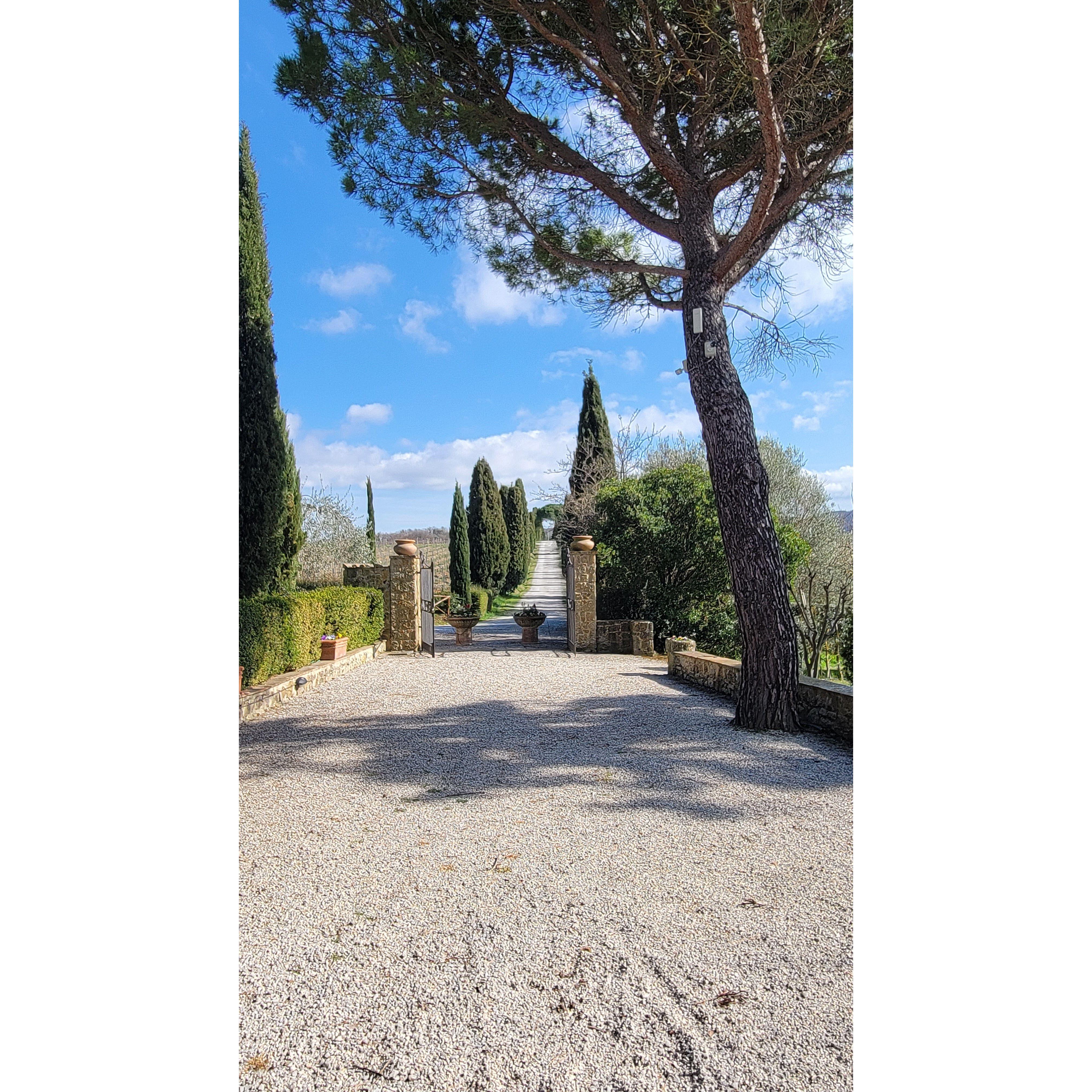 The driveway entering the property.