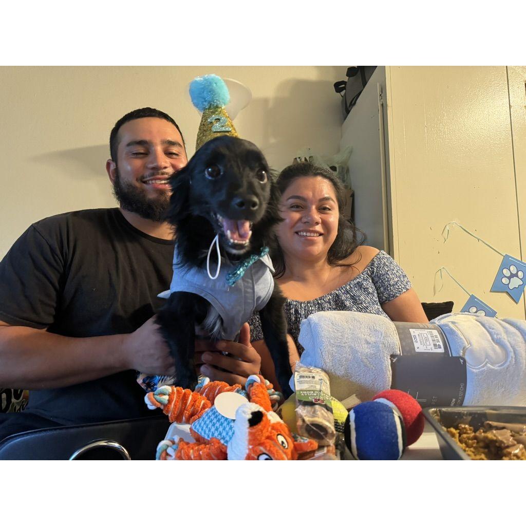Stella turned 2 <3