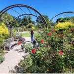 JC Raulston Arboretum