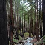 Limekiln State Park