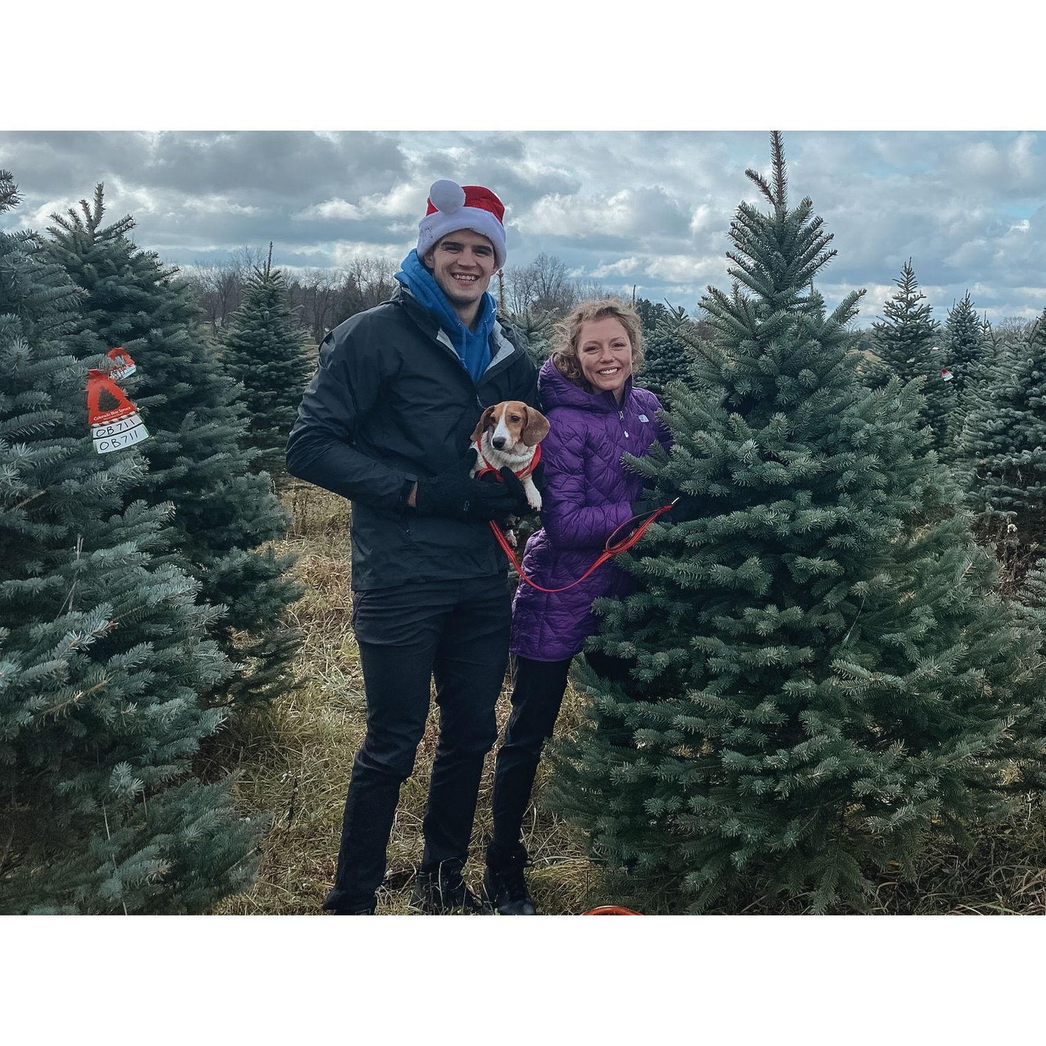 We love Christmas!