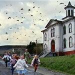 Potter School House (From Alfred Hitchcock's 'The Birds')