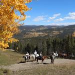 Breckenridge Stables