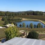 Frogtown Winery