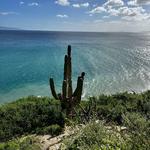 Hike the Punta Gorda Trail