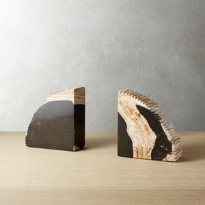 Petrified Wood Bookends Set of 2