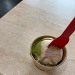 Sandy's Scoops