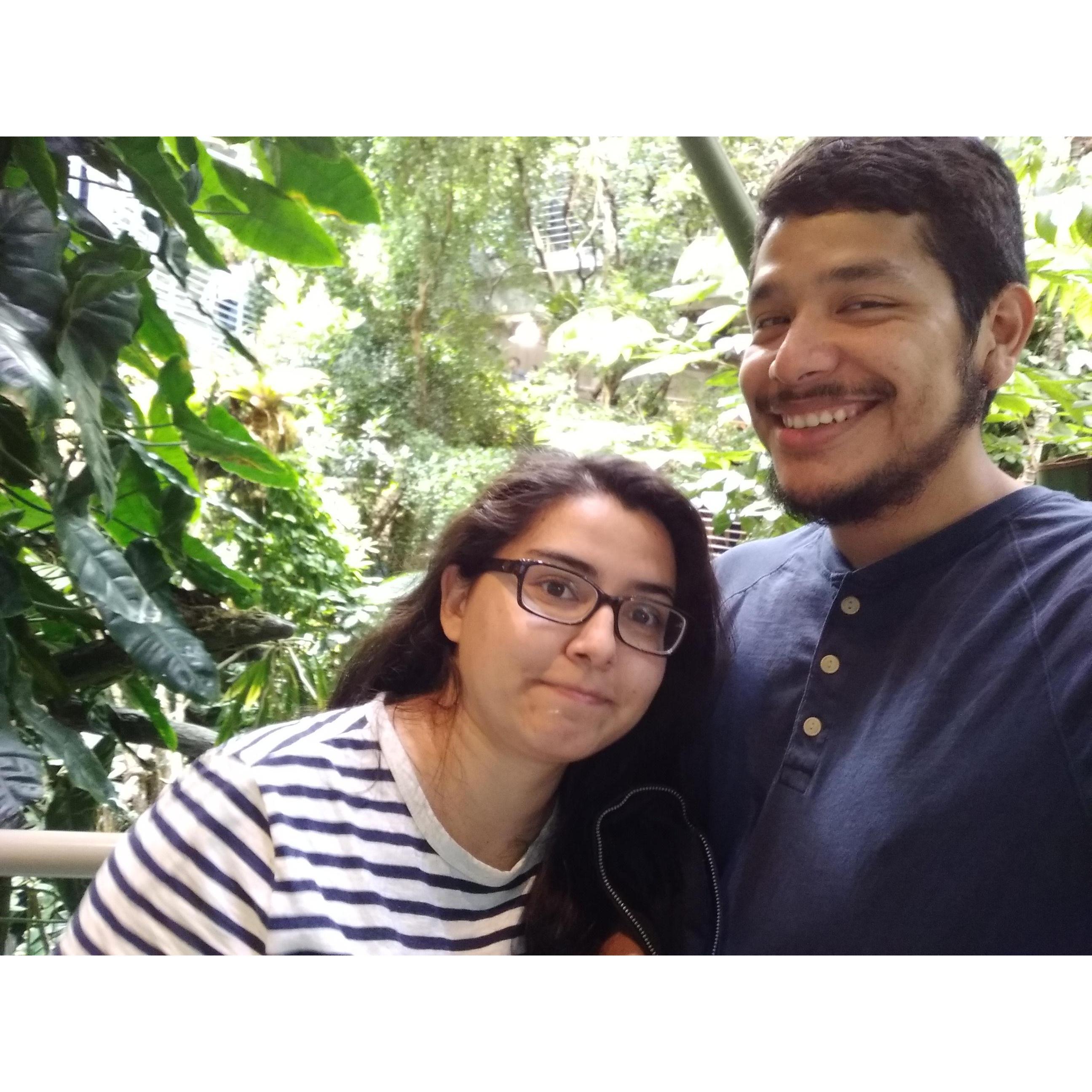 California Academy of Sciences