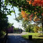 Highland Park
